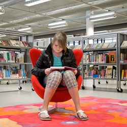 Bibliothèque Heemskerk, Pays-Bas
