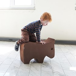 E2472 - Vache