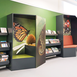Conception de bibliothèque biophiliques