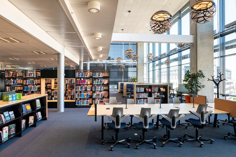 Bibliothèques académiques